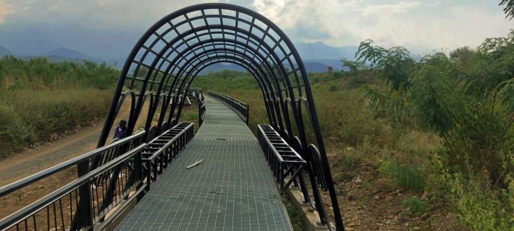 Proyectos realizados